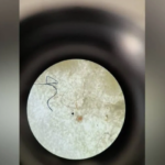 Captura de pantalla 2026-04-04 093332