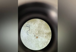 Captura de pantalla 2026-04-04 093332