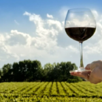 Captura de pantalla 2026-04-06 173748