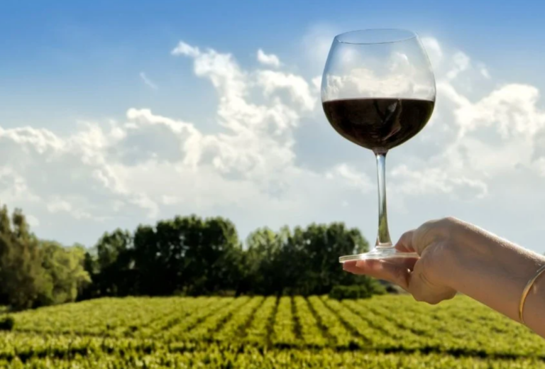 Captura de pantalla 2026-04-06 173748