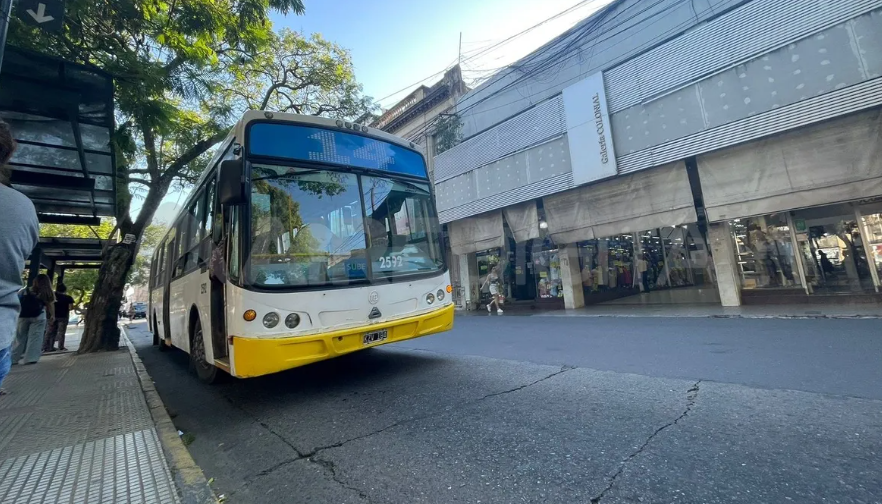 Captura de pantalla 2026-04-08 083311