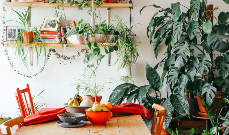 Captura de pantalla 2026-04-08 132405