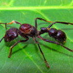 Captura de pantalla 2026-04-09 123231