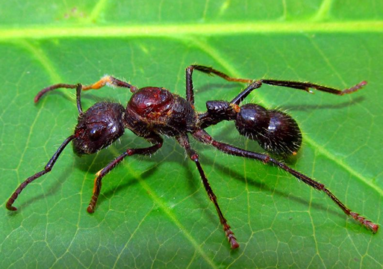 Captura de pantalla 2026-04-09 123231